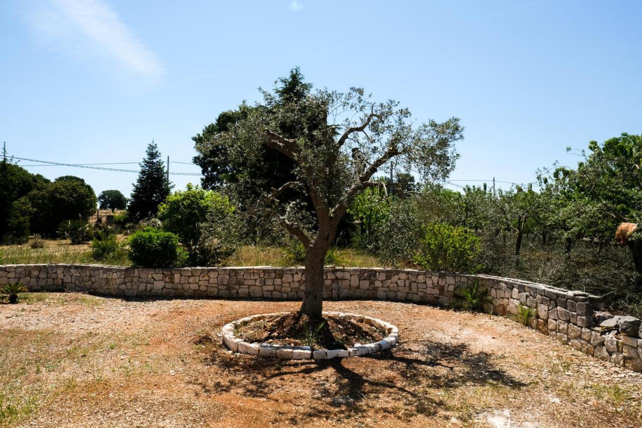 Trullo Elvira & Luigi Villa โมโนโปลี ภายนอก รูปภาพ