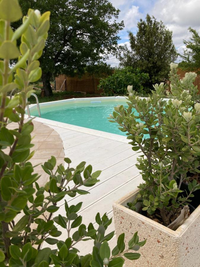 Trullo Elvira & Luigi Villa โมโนโปลี ภายนอก รูปภาพ