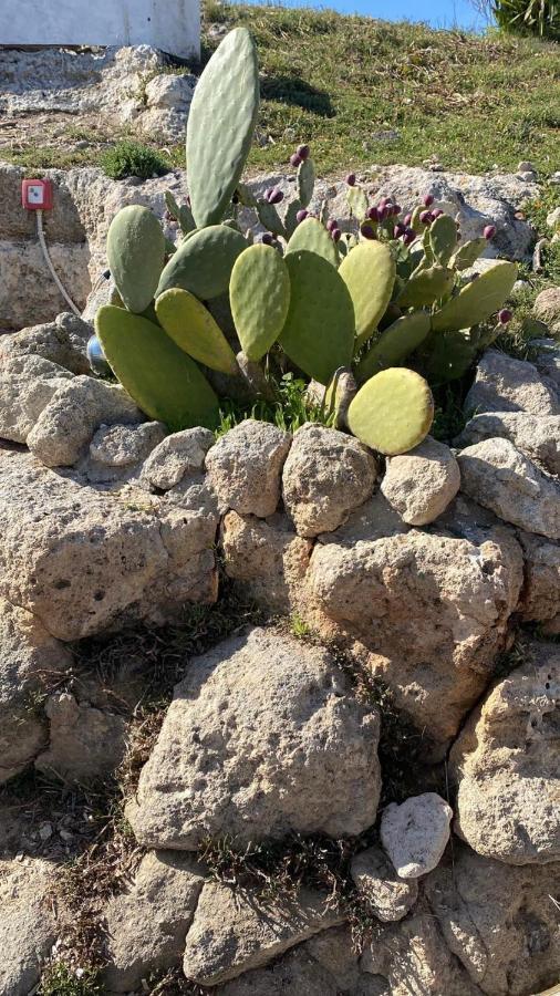 Trullo Elvira & Luigi Villa โมโนโปลี ภายนอก รูปภาพ